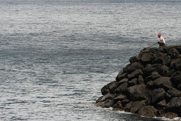 Comment vivre une expérience de pêche traditionnelle en Écosse ?